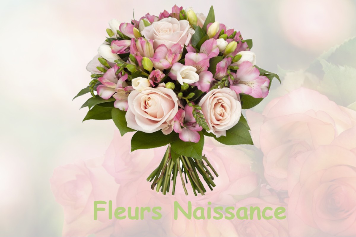 fleurs naissance LA-NOCLE-MAULAIX
